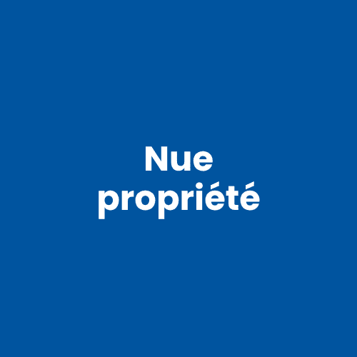 Nue propriété